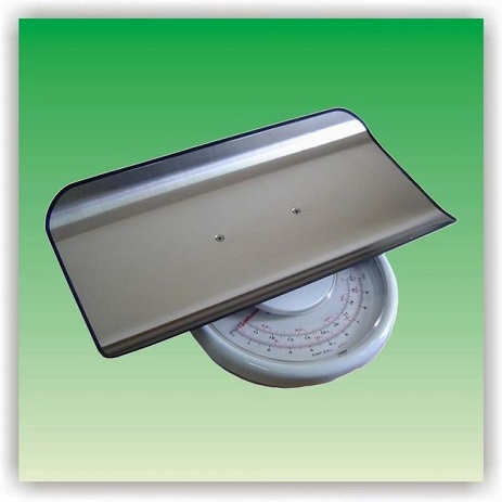 RGZ-20AS Baby Scale