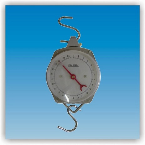 SL-25 infant scale