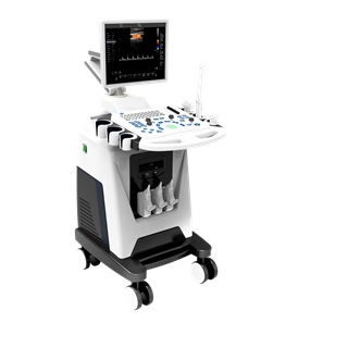 AU-F3 color Doppler