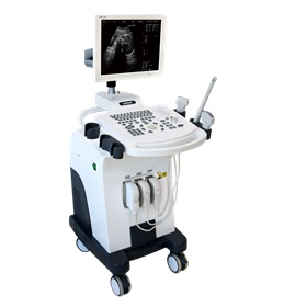 AU-370 Full-Digital Trolley B/W ultrasound system