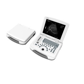 AU-500 Full-Digital Laptop B/W Ultrasound System